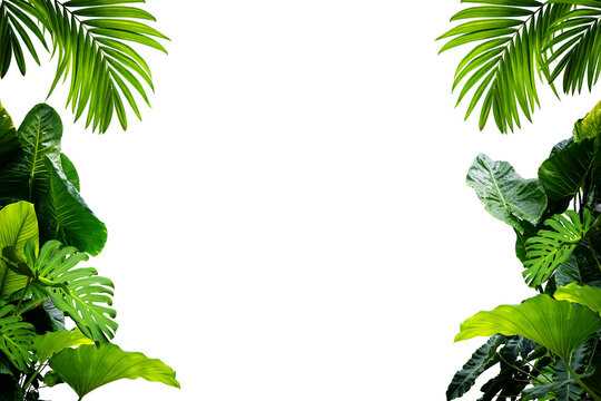 jungle leaves printable