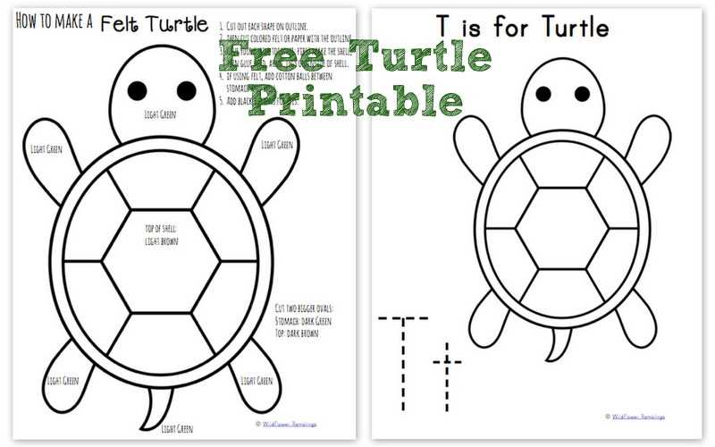 printable turtle craft printable turtle craft