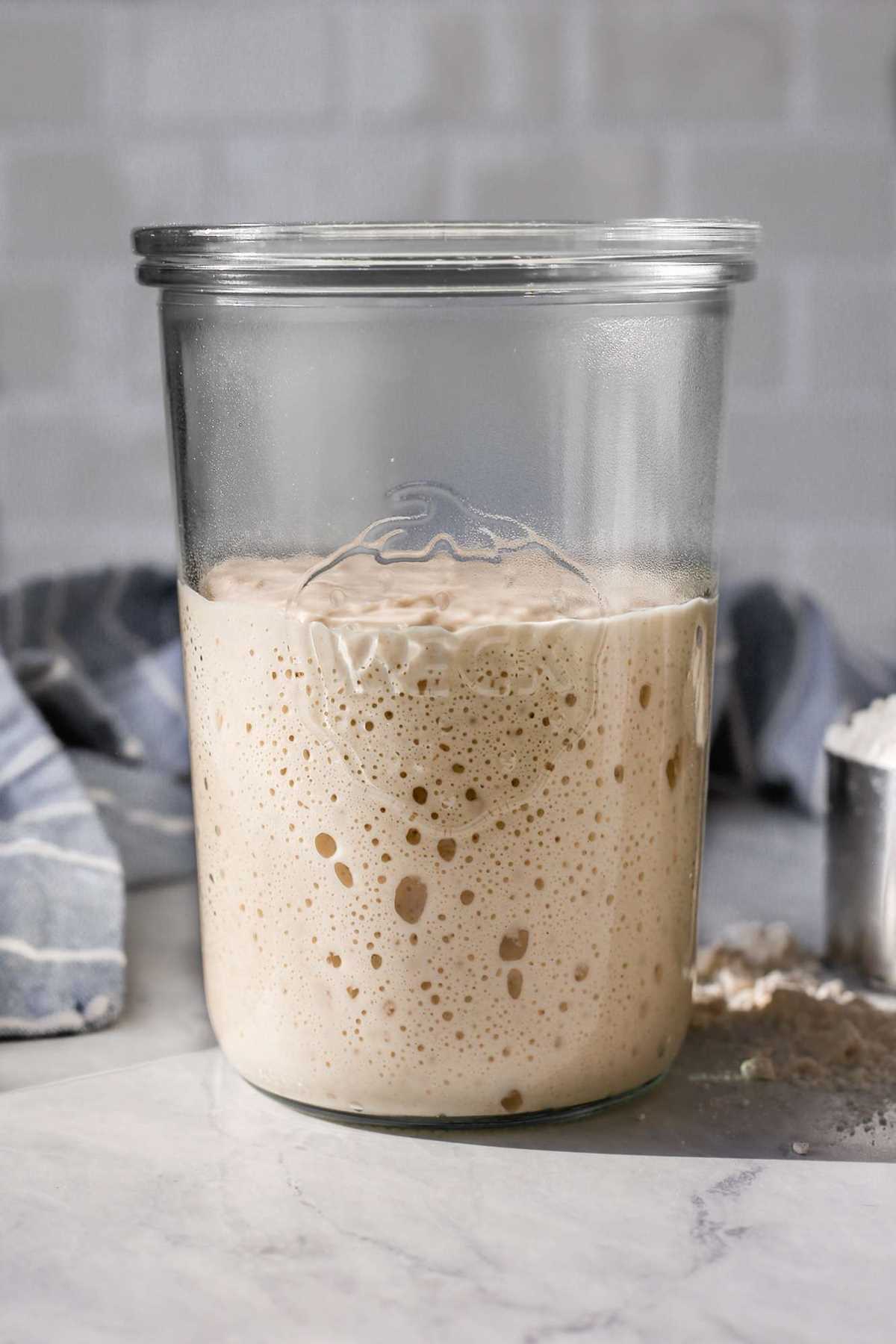 sourdough starter instructions printable sourdough starter instructions printable