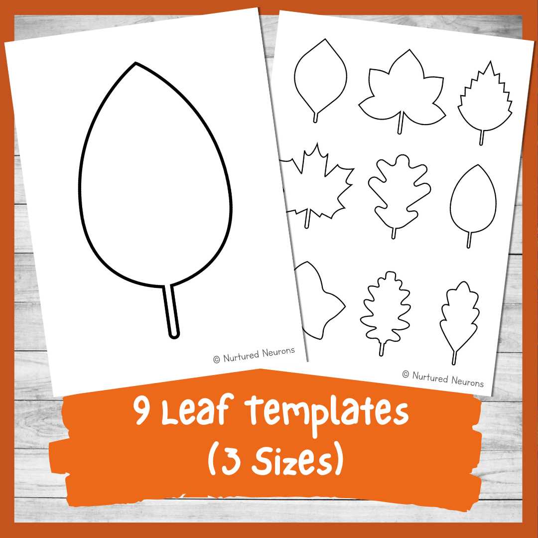 leaf outlines printable leaf outlines printable