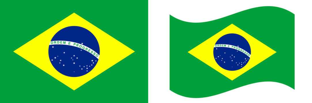 brazilian flag printable