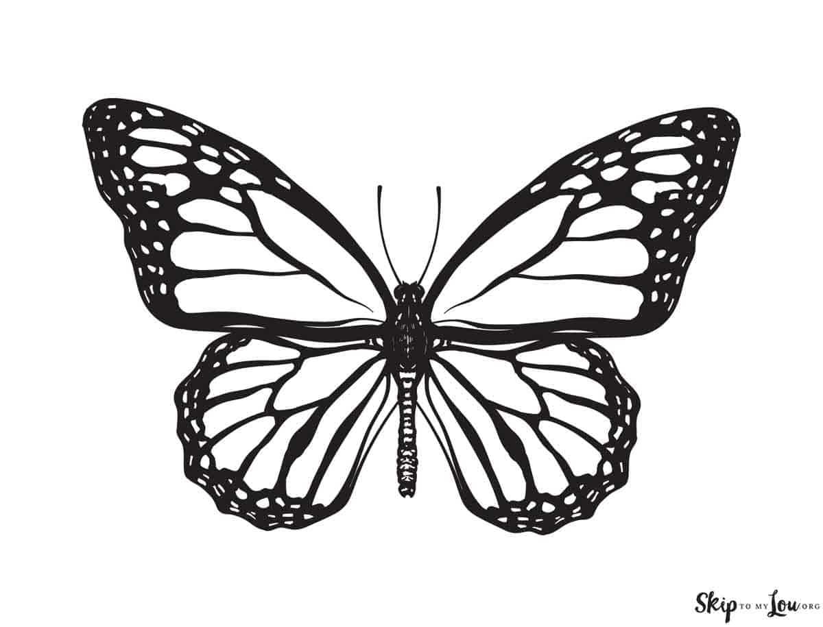 butterfly coloring sheet printable
