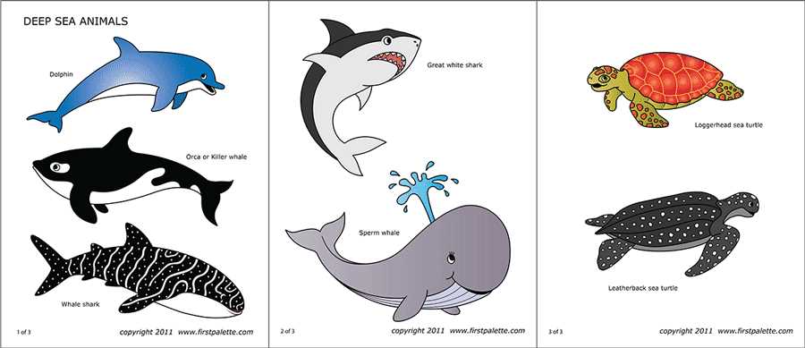 ocean animals printable
