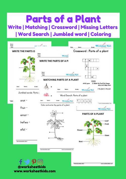 printable parts of a plant