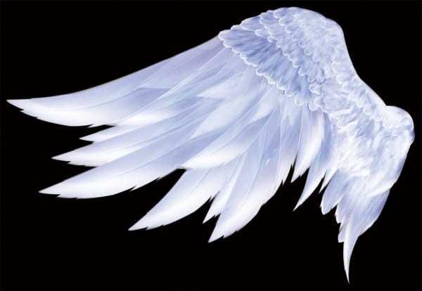printable angel wings