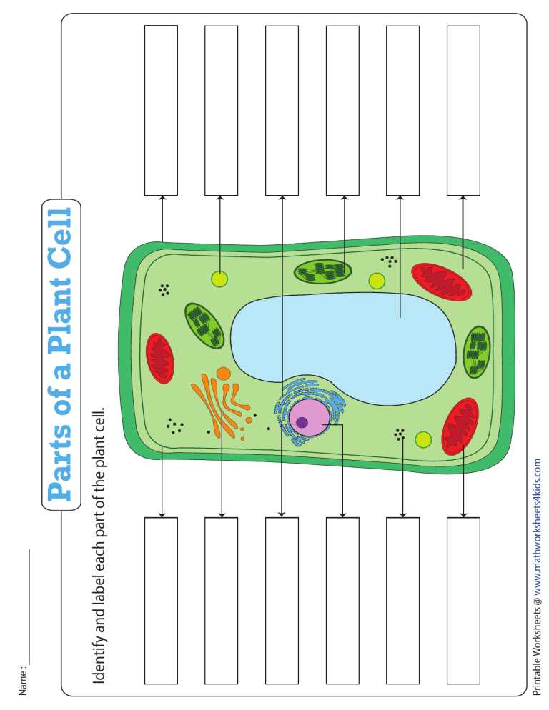 printable cell structure