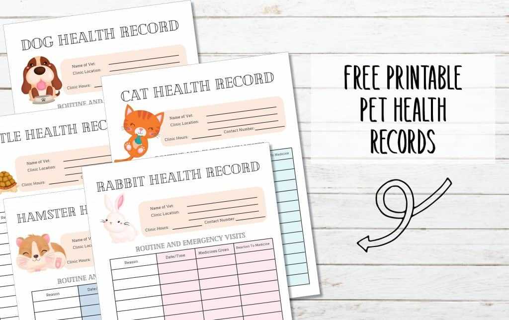 dog immunization record printable