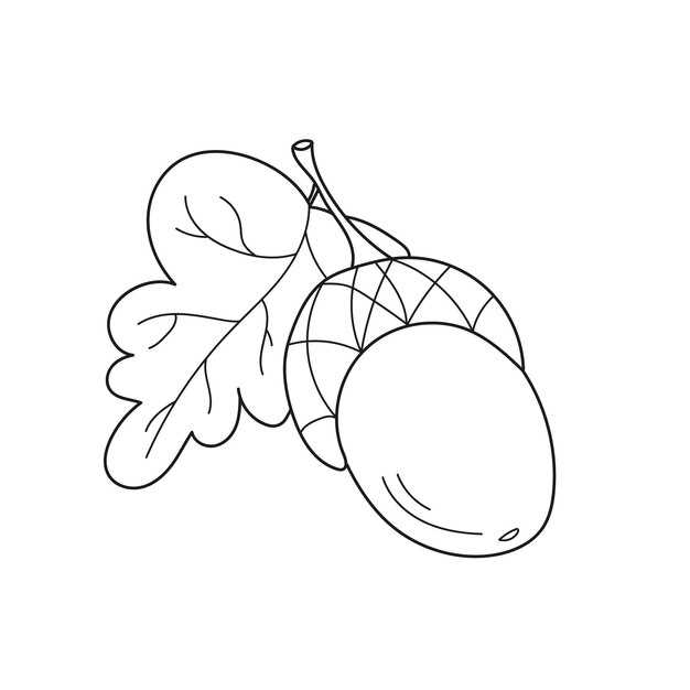 printable acorn coloring pages
