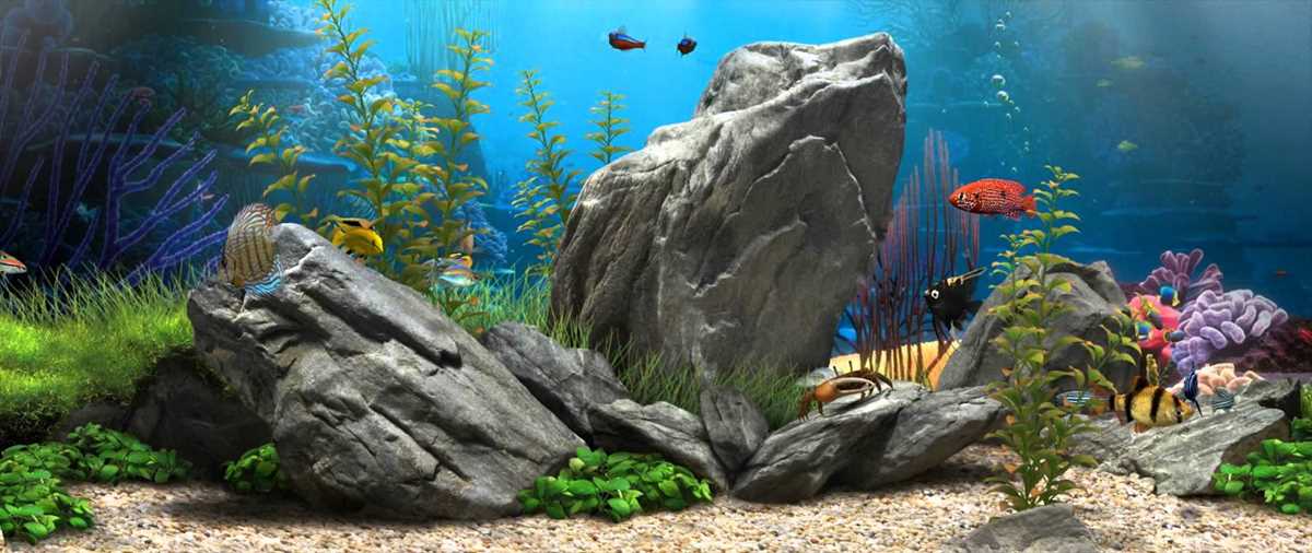 printable aquarium backgrounds