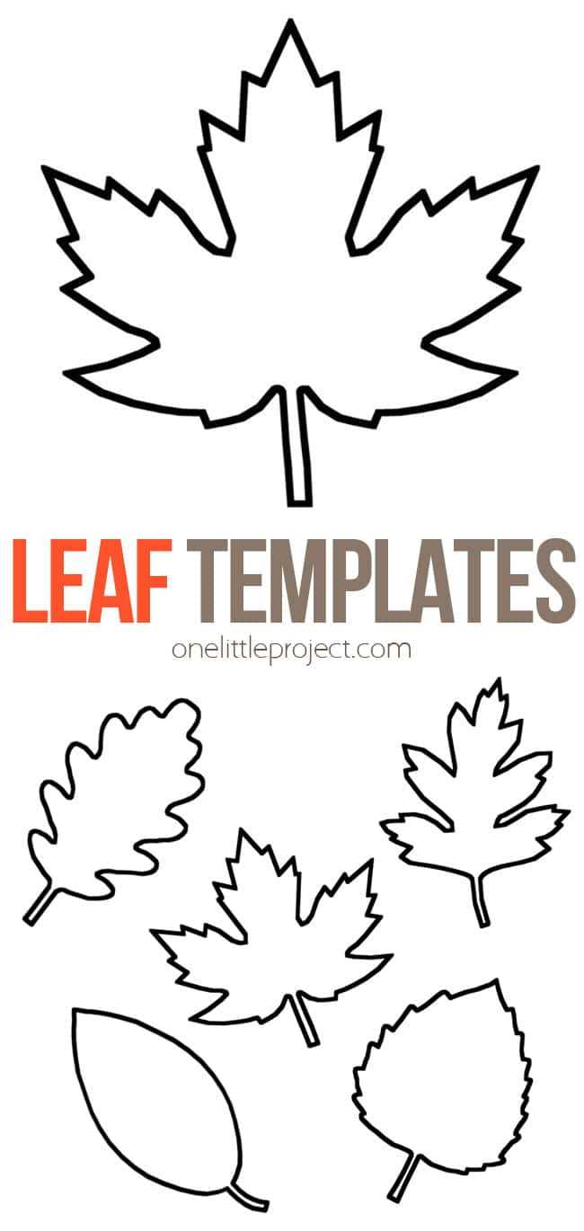 printable autumn leaves cutouts