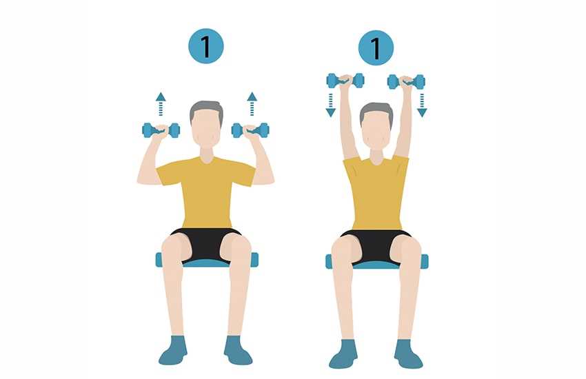 printable chair exercises for seniors