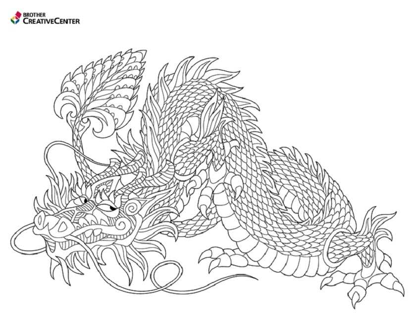 printable coloring dragon printable coloring dragon