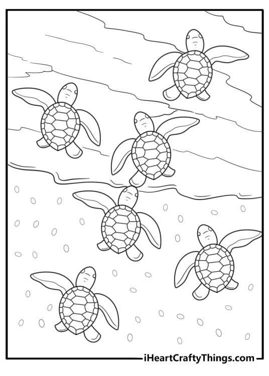 printable coloring pages turtle