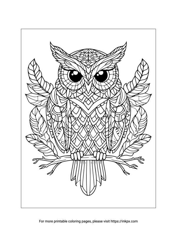 printable coloring pictures of owls printable coloring pictures of owls