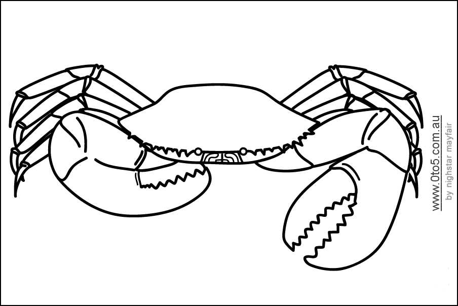 printable crab template