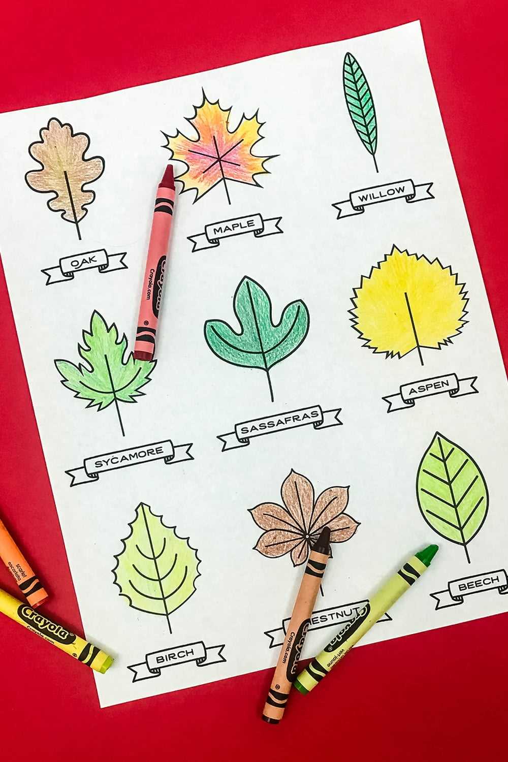 printable leaves free