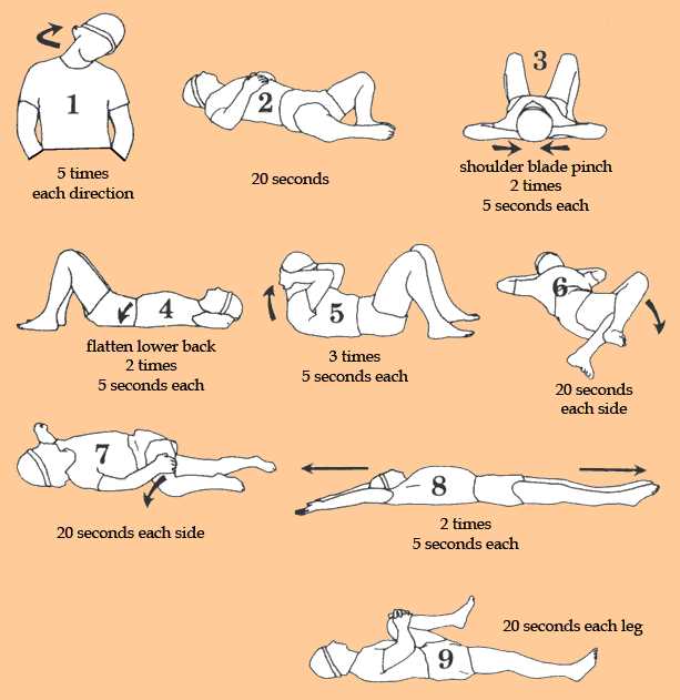 printable low back stretches printable low back stretches