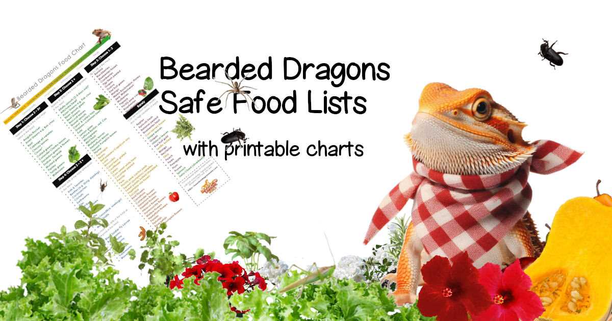 printable low oxalate foods list 2022