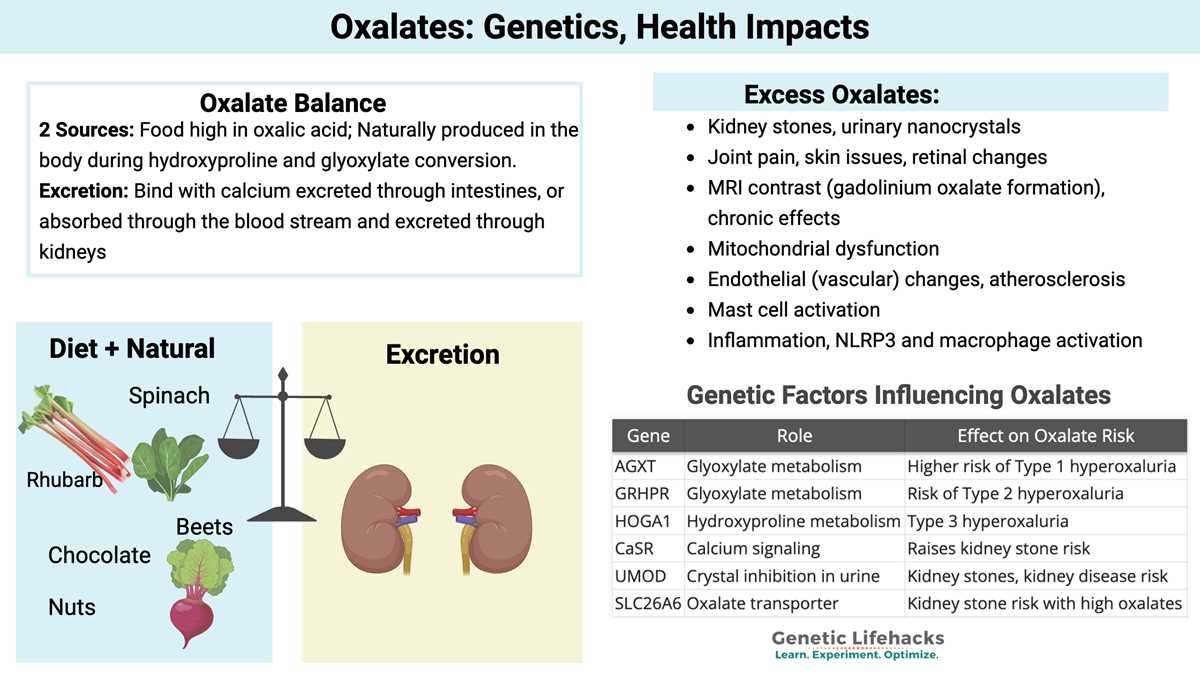 printable low oxalate foods list 2022