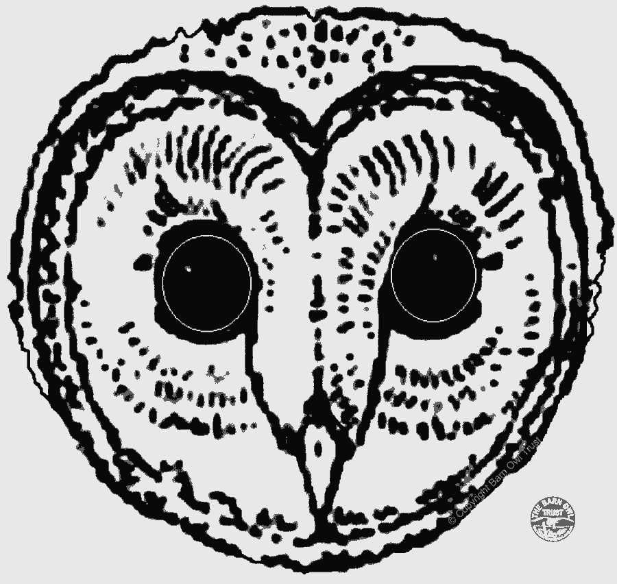 printable owl mask