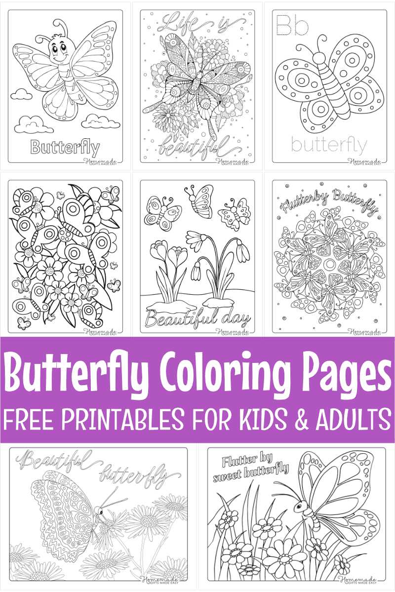 butterfly coloring page free printable butterfly coloring page free printable