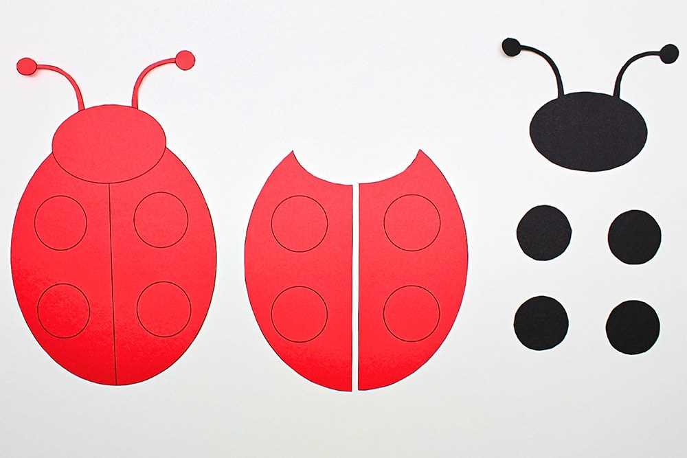 bug template printable