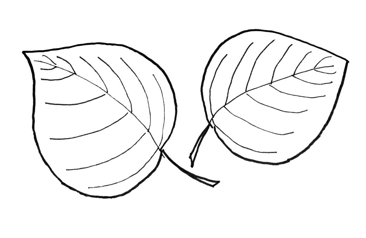 printable fall leaf templates