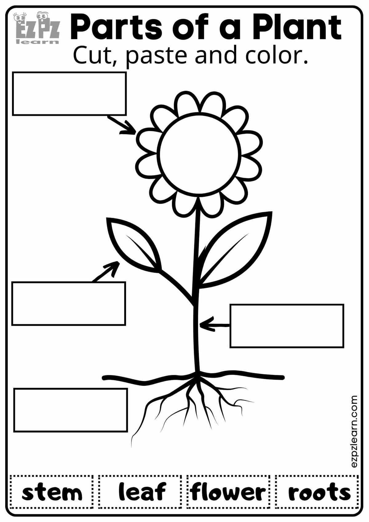 printable parts of a plant