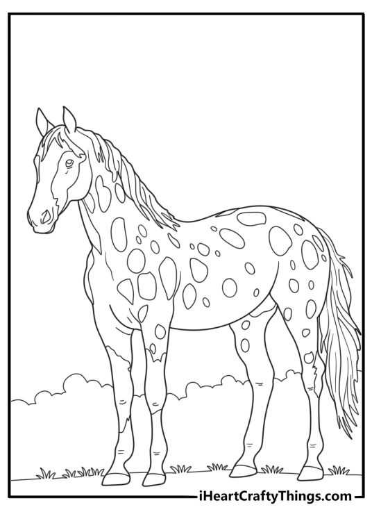 realistic printable horse coloring pages