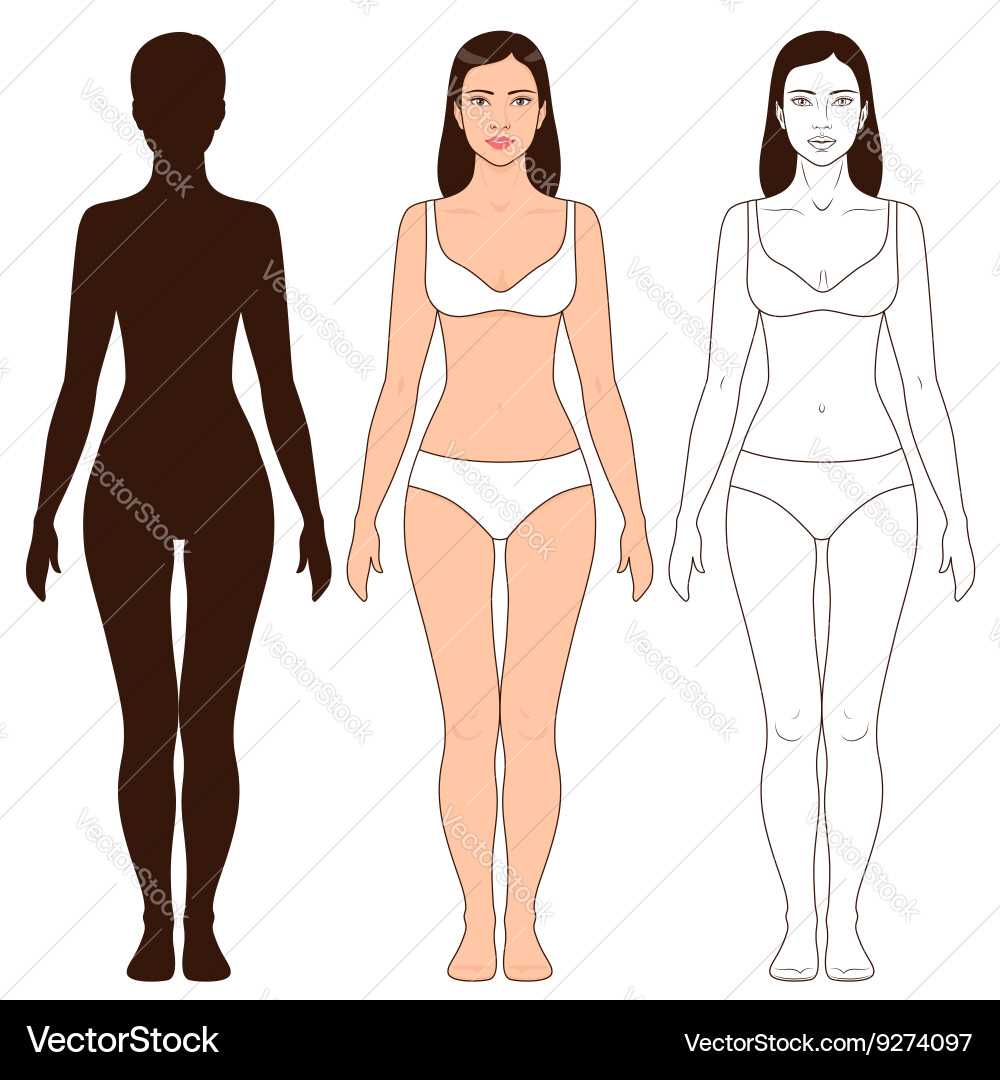 outline of a body printable outline of a body printable