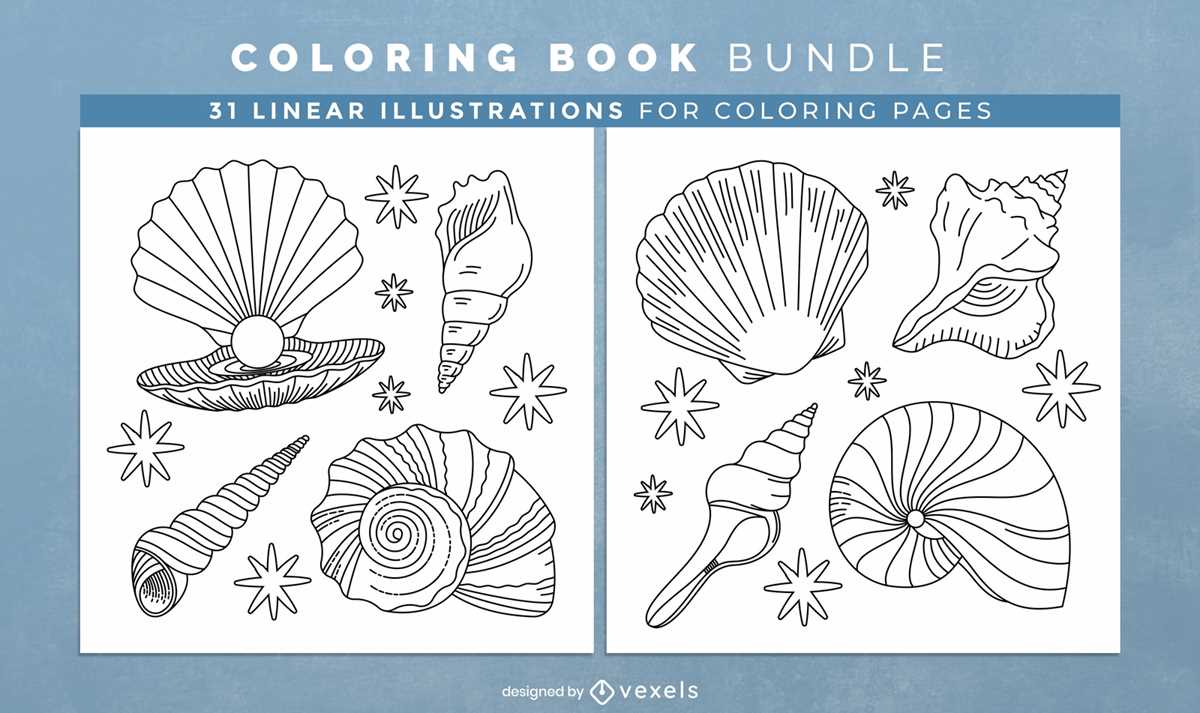 seashell templates printable