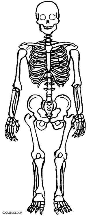 skeleton coloring pages printable skeleton coloring pages printable