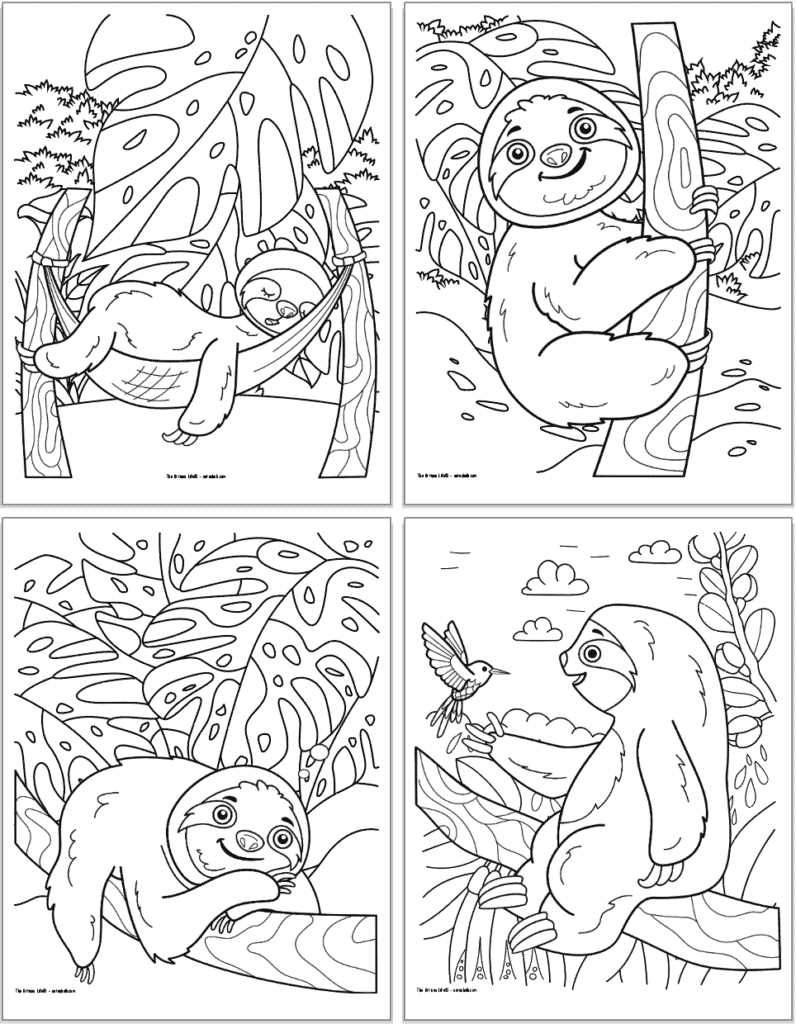 sloth coloring pages printable