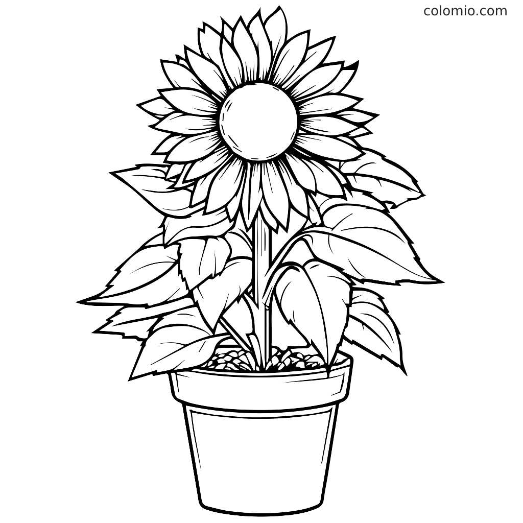 sunflower coloring pages printable