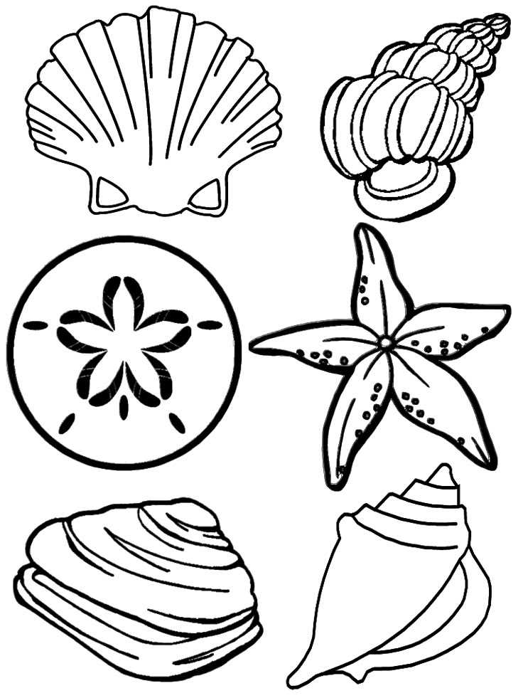free printable seashell templates