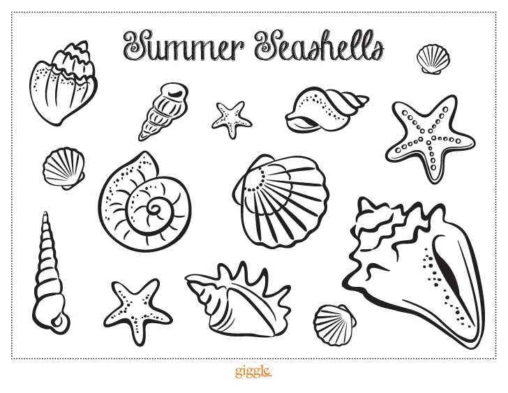 seashell printable template seashell printable template