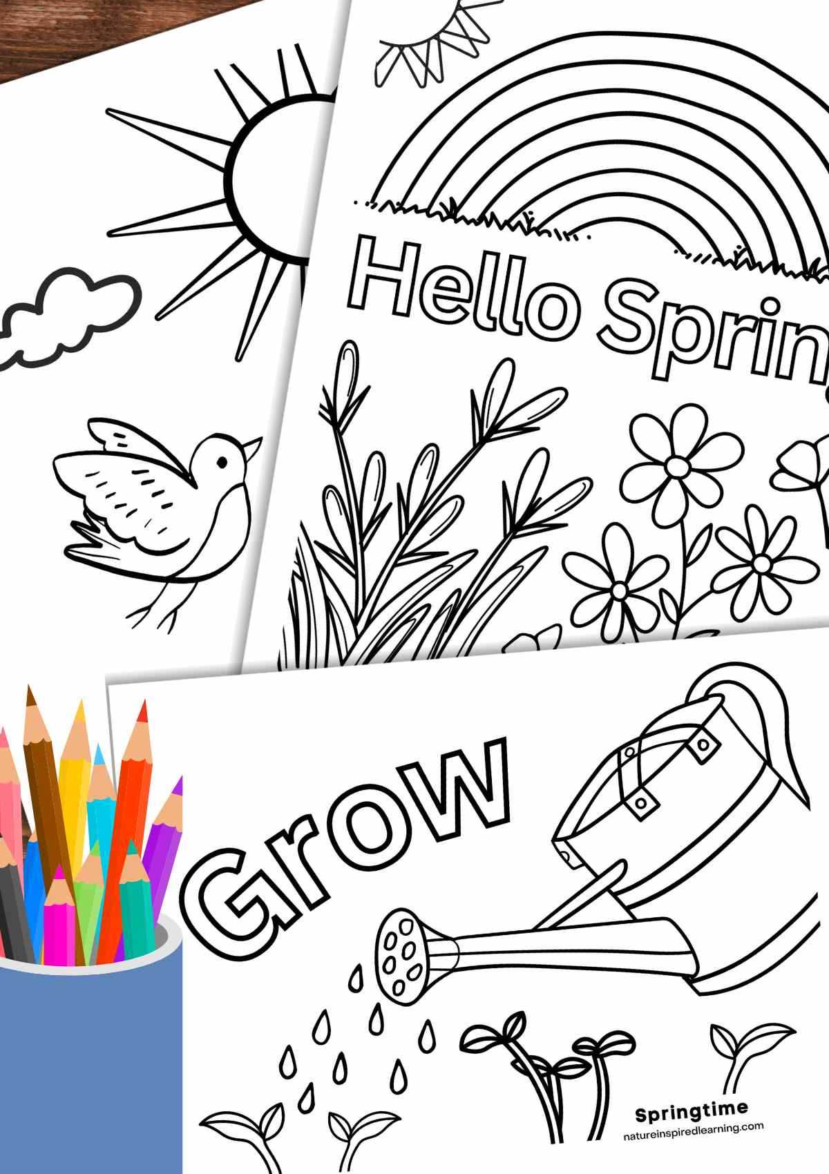 springtime coloring pages printable