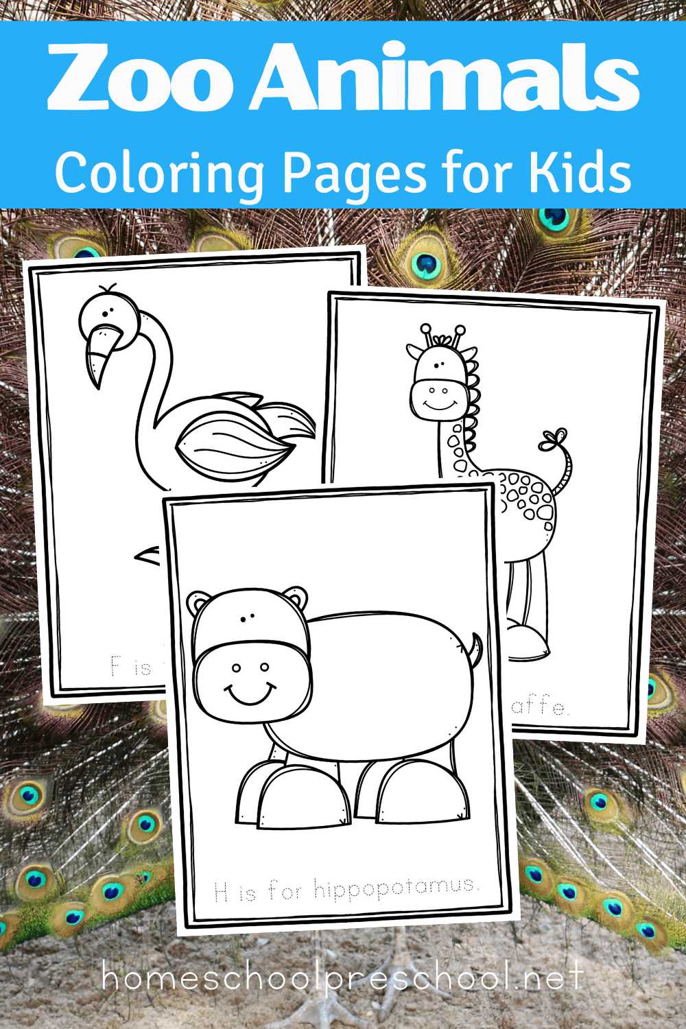 zoo printable coloring pages