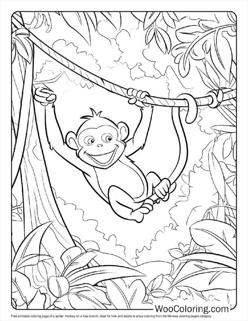 coloring pages monkeys printable