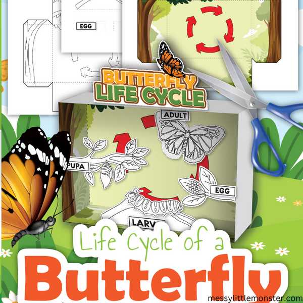 life cycle of a butterfly printables